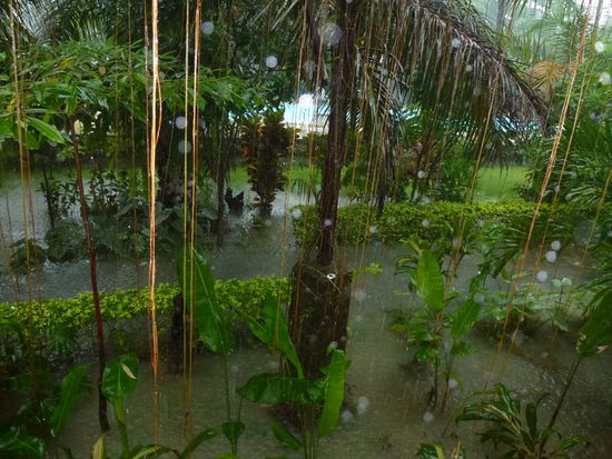 Blick von Innen (eigentlich ist da ein Weg vor dem Zimmer)