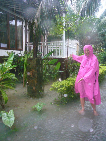 Blick von Außen, eigentlich stehe ich auf dem Weg