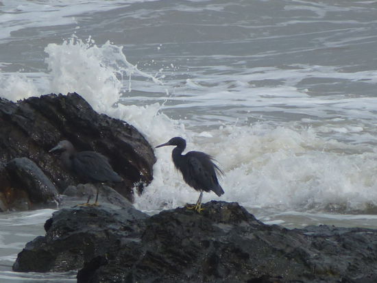 unterwegs zum Nationalpark