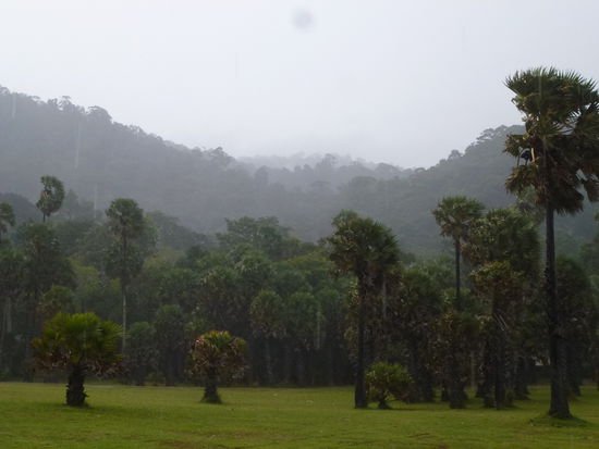 aber auch Regen hat seine schönen Seiten