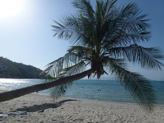 auch wieder irgenwie kitschig schön! 