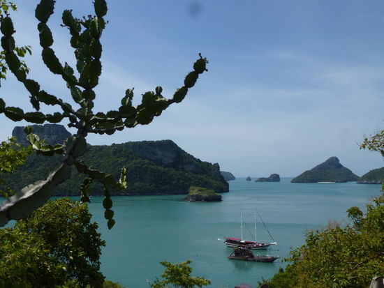 Viewpoint an der Lagune