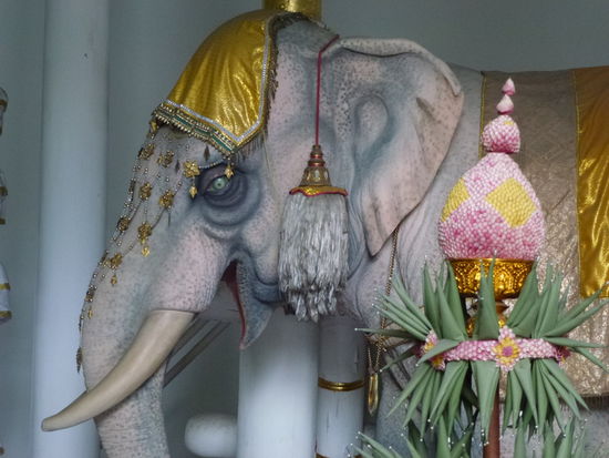 ...der mittlerweile verehrt wird...