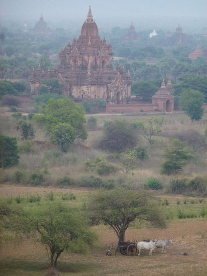 Mystisch! Pagodenfeld in Bagan/ Birma