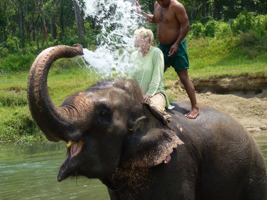 Erfrischung! Elefantenbaden im Chitwan Nationalpark / Nepal