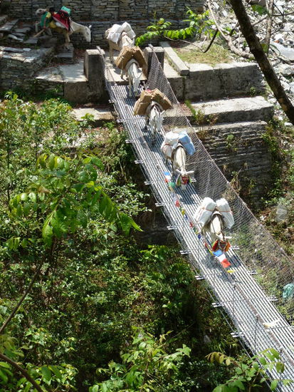 Nicht nur als kleines Mädchen wünscht man sich ein Pony!