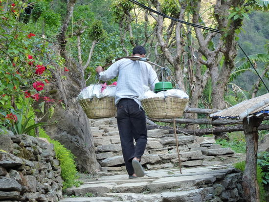 Macher würde gerne fliegen