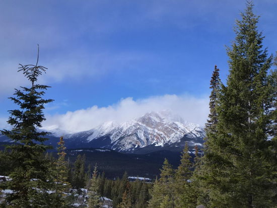 Auf geht es zurück nach Jasper!