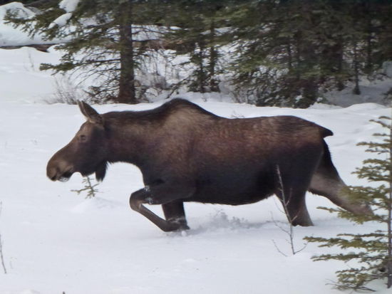 Ein Highlight des Urlaubes, mein großer Wunsch geht in Erfüllung!