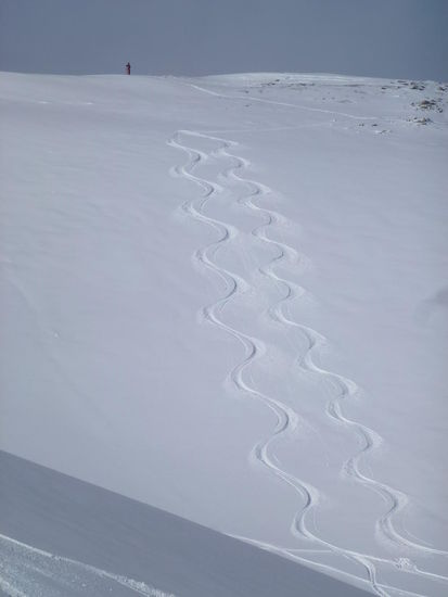 Leider nicht meine Spur...