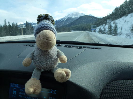 Bani war übrigens auch wieder dabei!