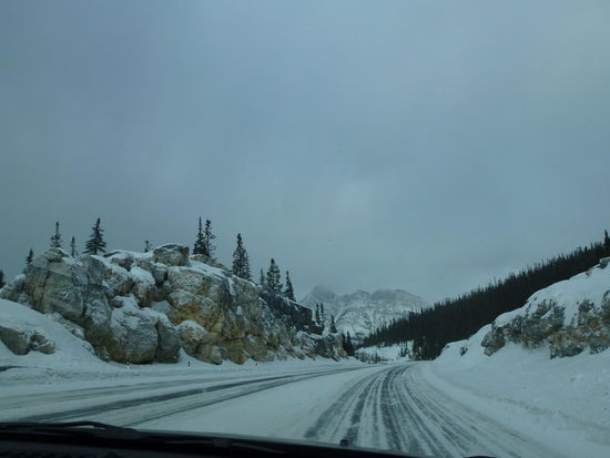 Hier in dieser stundenlangen Einsamkeit möchte ich keine Panne haben