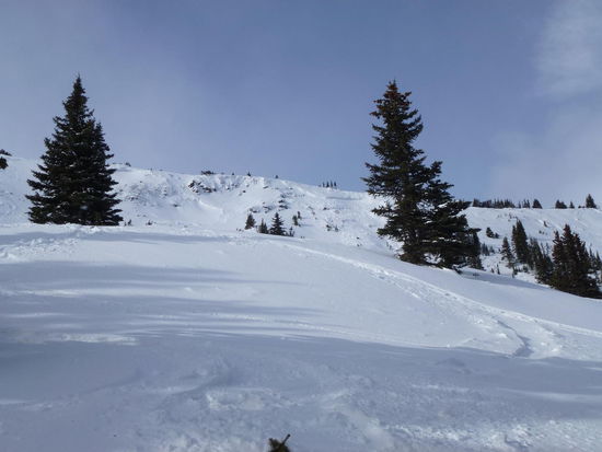 Das Gefälle, die Enge mancher Passagen und die vielen Bäume kann man gar nicht mit dem Fotoapparat wieder geben!