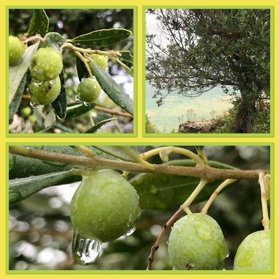 Regentropfen sehen ja schon schön aus!