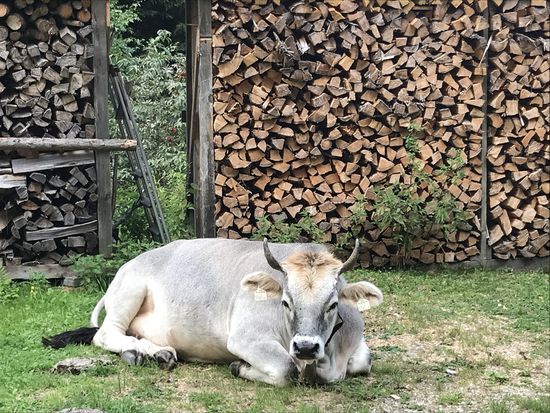 Bildhübsches Model!