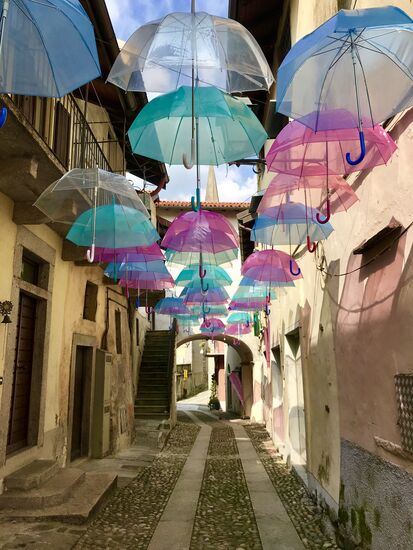 Heute ist das ganz klar Bild des Tages!!!