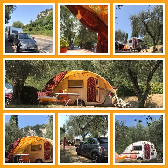 Diese Olivenbäume stehen meiner Knutschkugel so gut!