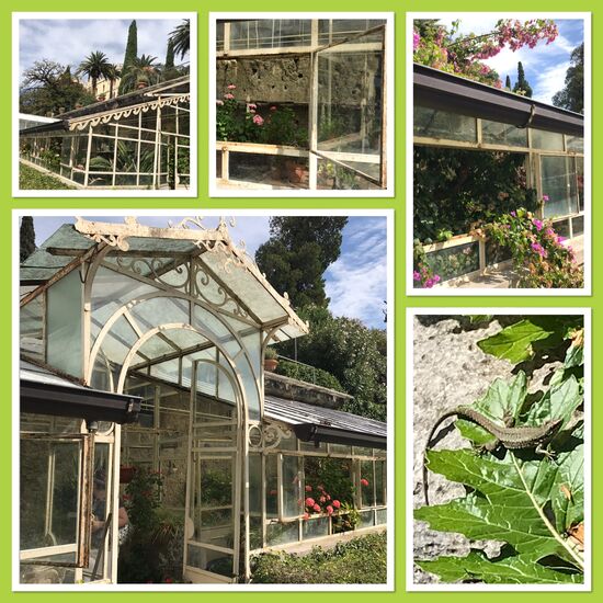 Jeder sollte in seinem Garten ein kleines Gewächshaus haben!