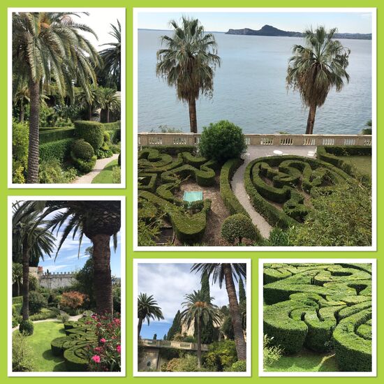 Hier war der Buchsbaumzünsler wohl noch nicht!