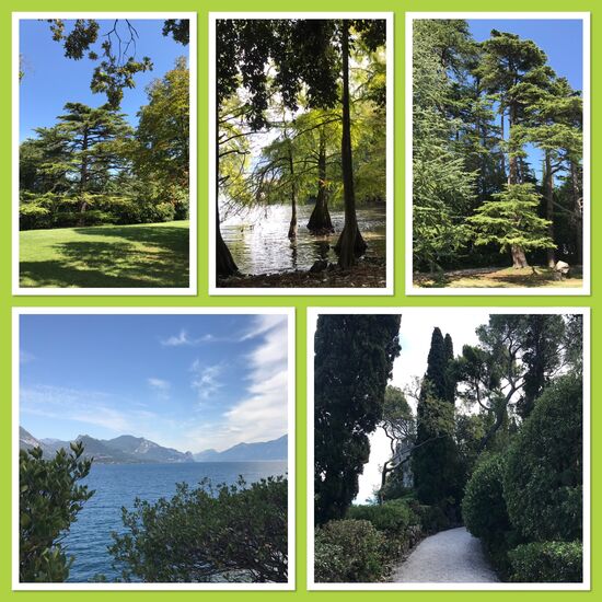 Kleiner Spaziergang gefällig?