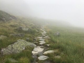 Ein Weg ins Nirgendwo!