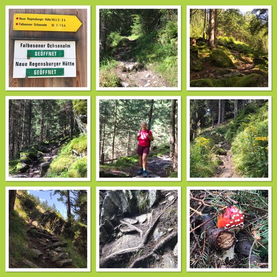 Steil und verwunschen!