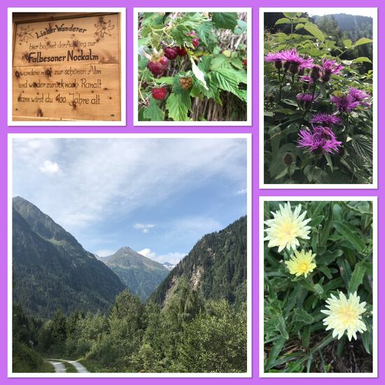 Der Weg zur Falbesoner Nockalm