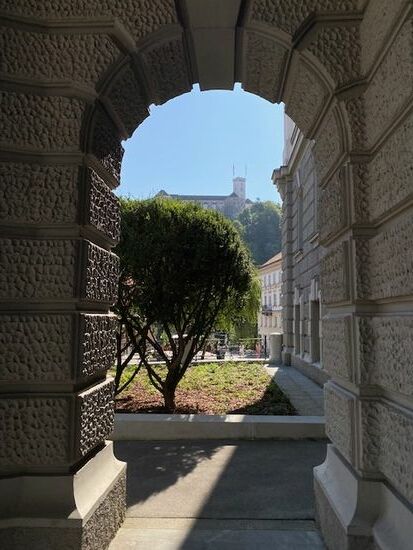 Durchblick an der Uni