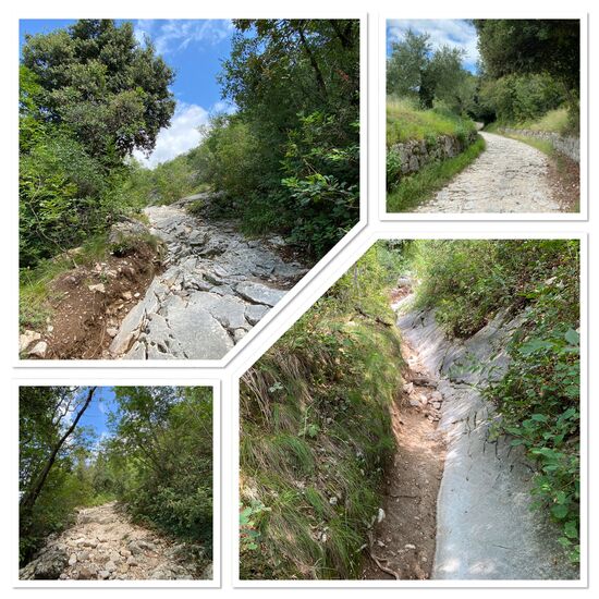 Die unteren Wegstücke