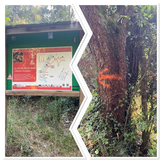 Dann muss man nach diesem Schild rechts rein und den orangen Pfeil/ Punkten folgen