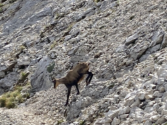 Das war ein tolles Erlebnis für