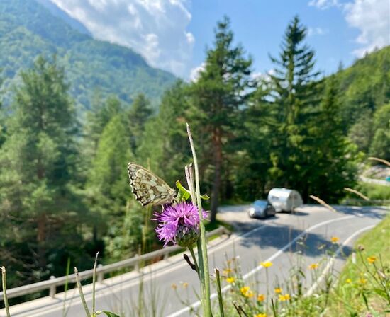 Wie klein man in dieser Natur ist