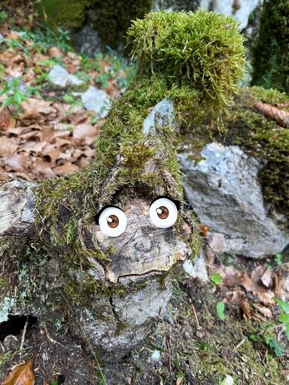 Waldwichtel gibt es auch