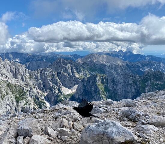 Unbeschreibliches Panorama