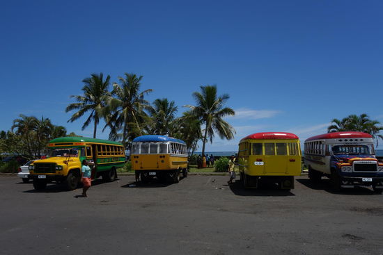 Die bunten Busse Samoas, bemalt und dekoriert je nach Geschmack des jeweiligen Fahrers - hiermit zu reisen war nicht nur billig, sondern meist auch unterhaltsam und zudem von weihnachtlichen Reggeaklaengen untermalt