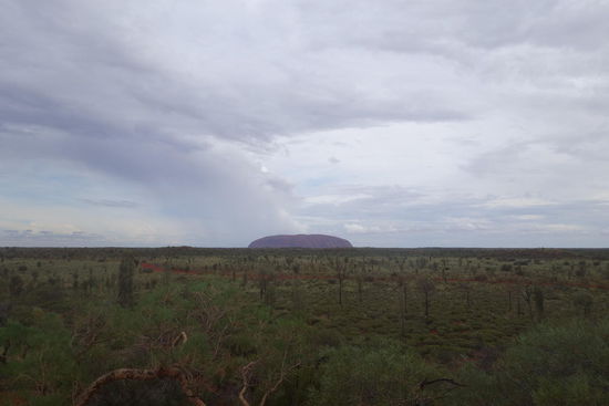 Ein weiteres Mal: Der Uluru...