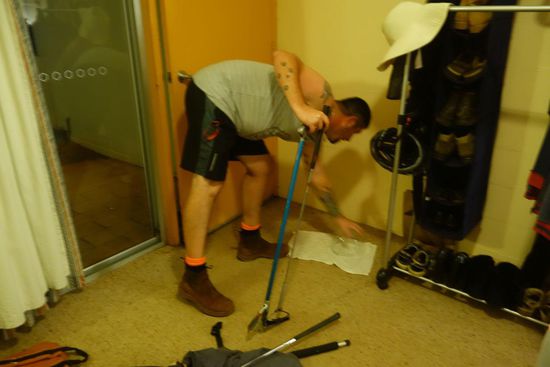 Überstunden eines snake catchers