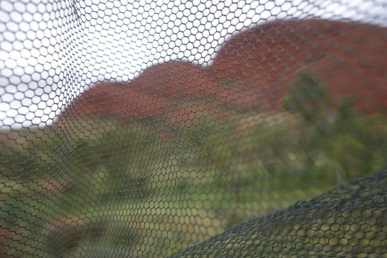 Na ja, fast alleine - die Touristen abgehängt, jedoch so nicht die Fliegen, die sich, ist ja sonst keiner da, alle auf mich stürzen. Und so ist der schöne Ausblick versperrt durch mein Fliegennetz - das Mama Agnieszka mir wohlweislich am Morgen mitgegeben hat (ein Wunder eigentlich, ich musste mein Vesper selber zubereiten!) - couchsurfing ist toll! 