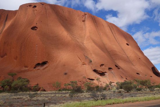 ...in diversen Nahansichten