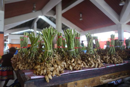 Markt in Port Vila