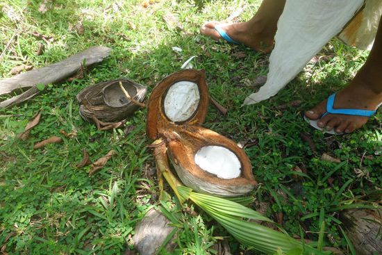 Jägerfüße und Beute