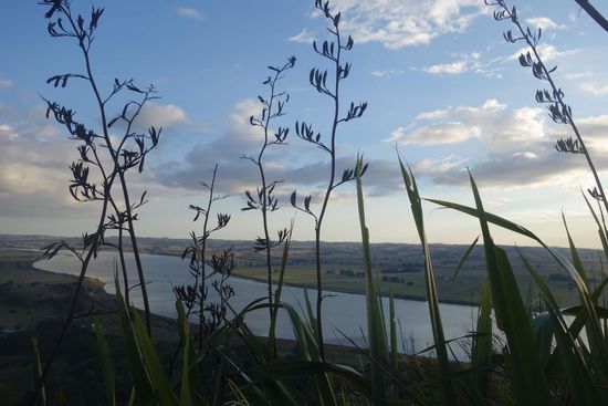 Auf dem Tokatoka peak