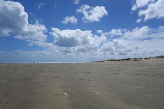 Ninety-mile Beach