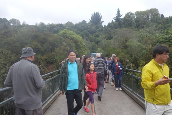 ...finden auch die Passagiere unzähliger Touristenbusse