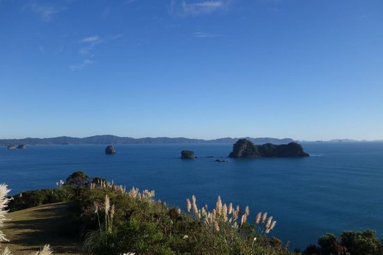 Küstenlandschaft Coromandel Island