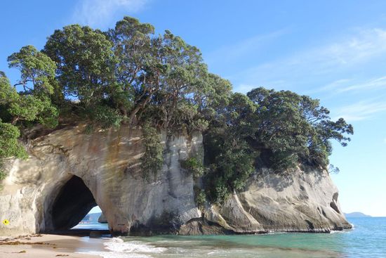 Cathedral Cove
