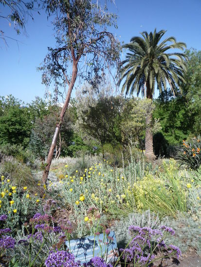 Der botanische Garten...