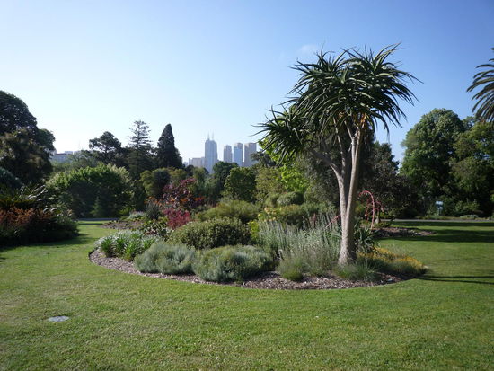 Der botanische Garten