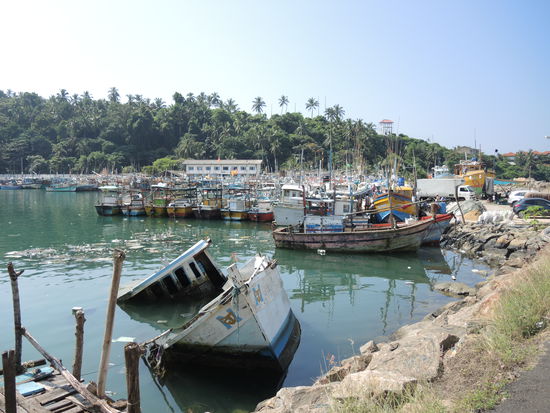 Hafen nach dem Whale Watching Trip
