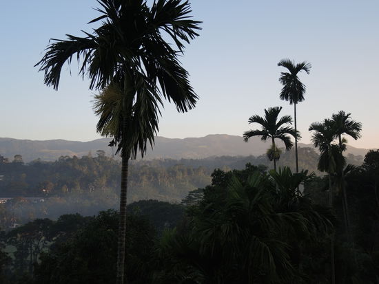 Vor dem Sinharaja Trekking